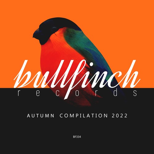 VA – Bullfinch Autumn 2022 Compilation [BF334]