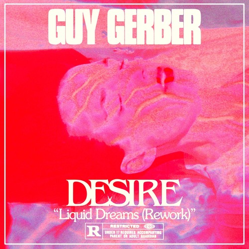 Guy Gerber, Desire - Liquid Dreams (Guy Gerber Rework)