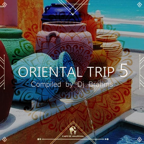 VA - Oriental Trip, Vol. 5 (Compiled by Dj Brahms)