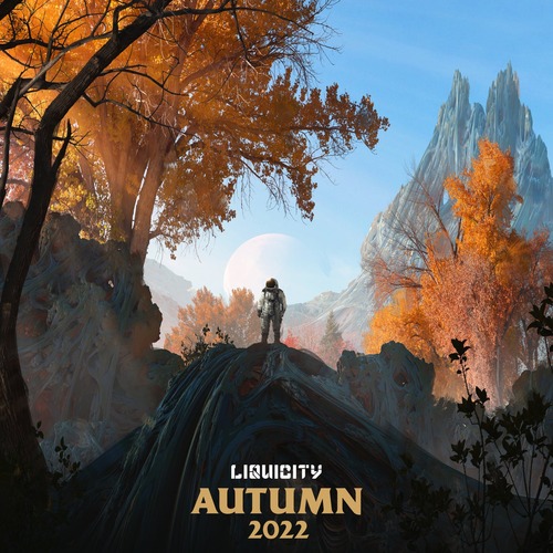 VA - Liquicity Autumn 2022