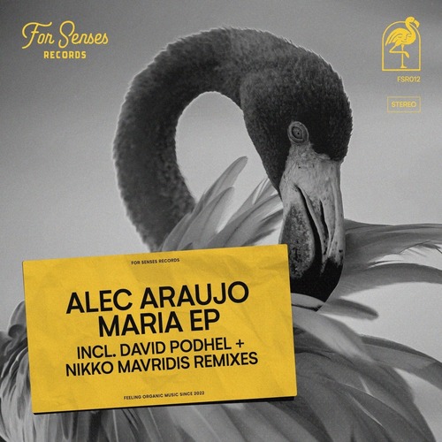 Alec Araujo - Maria