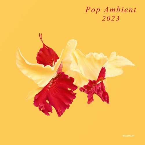 VA - Pop Ambient 2023 [KOMPAKTCD173D]