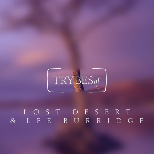 Lee Burridge, Lost Desert - Somebody up There Likes You