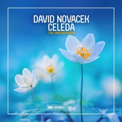 Celeda, David Novacek - The Underground