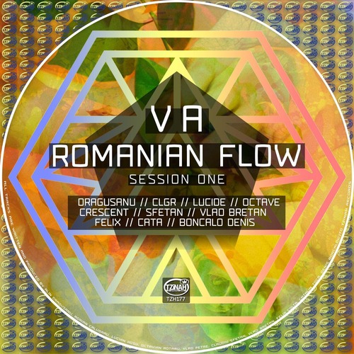 VA - VA - Romanian Flow Session One