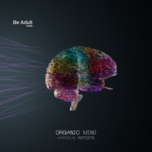 VA - Organic Mind