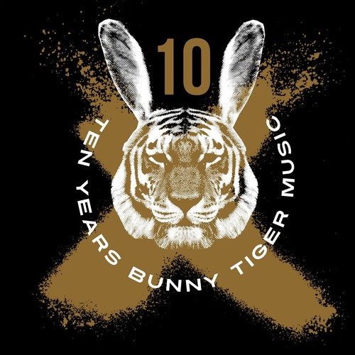 VA - Bunny Tiger 10 Years Anniversary