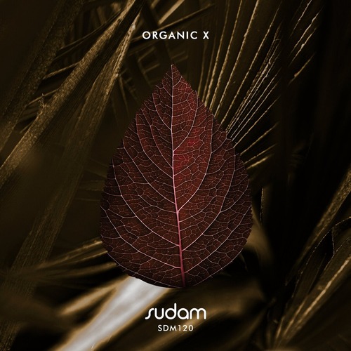VA - Organic X Sudam Recordings