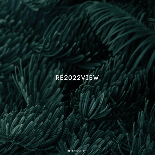 VA - Re2022view