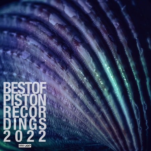 VA – Best Of Piston Recordings 2022 [PRCD2022063]