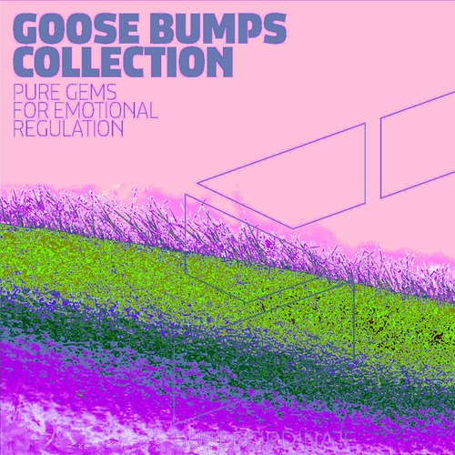VA - Goose Bumps Collection, Vol. 9