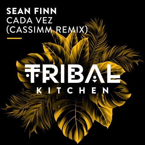 Sean Finn - Cada Vez (CASSIMM Remix)