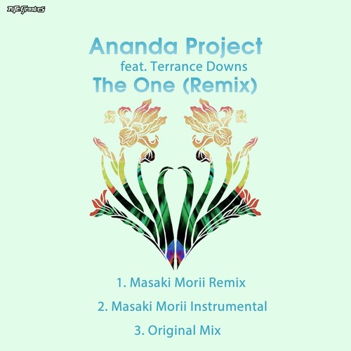 Ananda Project, Terrance Downs - The One (Remix)