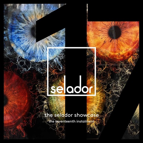 VA - The Selador Showcase - The Seventeenth Instalment