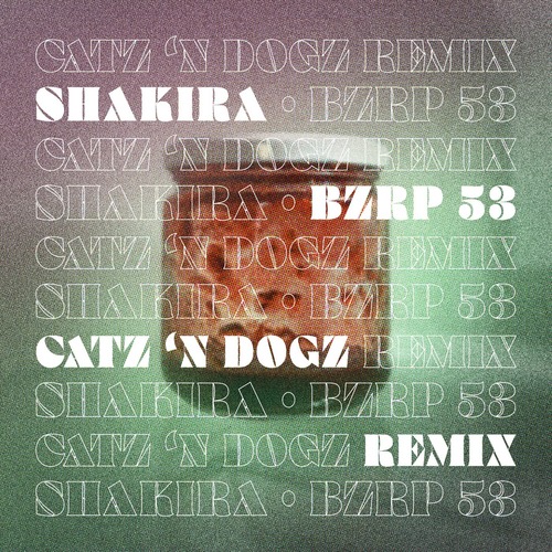 Catz 'n Dogz - Shakira - Bzrp 53 (Catz 'N Dogz Extended Remix)