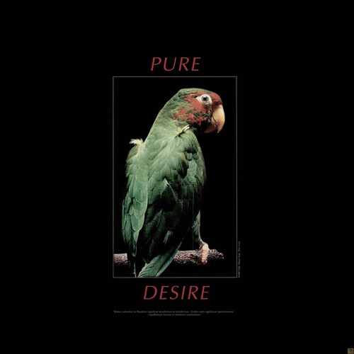 Narcisse (Mex) - Pure Desire