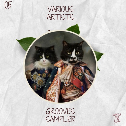 VA - Grooves Sampler