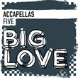 Big Love Accapellas 5
