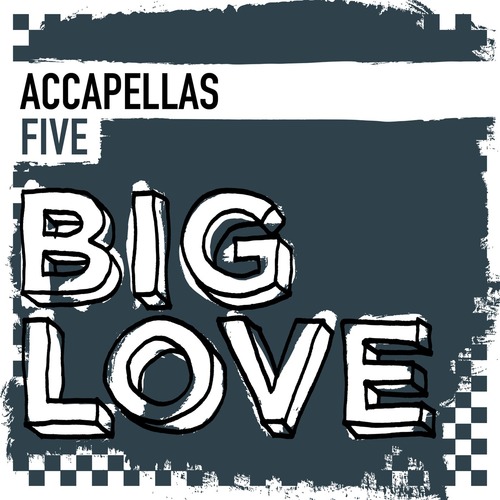 VA  Big Love Accapellas 5 [BLDC032D]