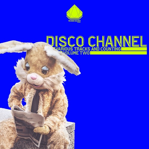 Disco Channel - Various Tracks and Counting, Vol. 2