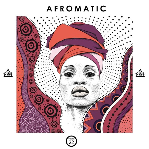 VA - Afromatic, Vol. 22