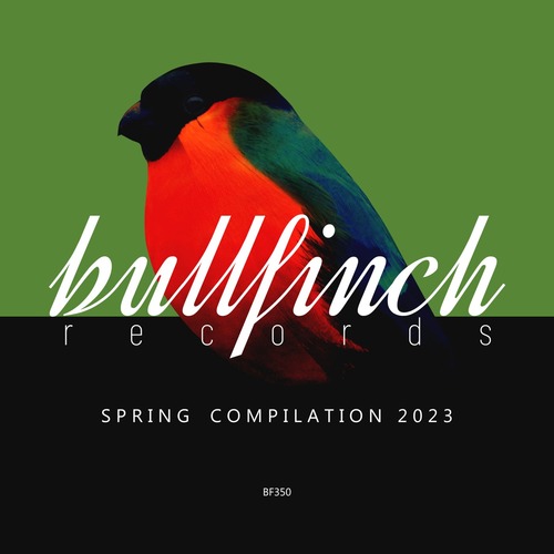 VA - Bullfinch Spring 2023 Compilation