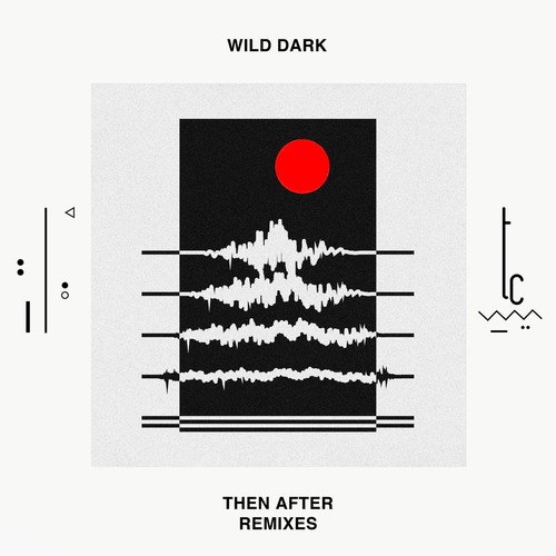 Wild Dark - Then After Remixes
