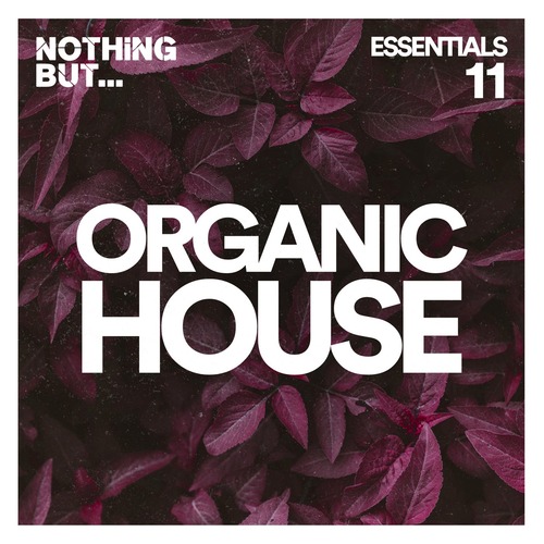 VA  Nothing But Organic House Essentials, Vol. 11 [NBOHE11]