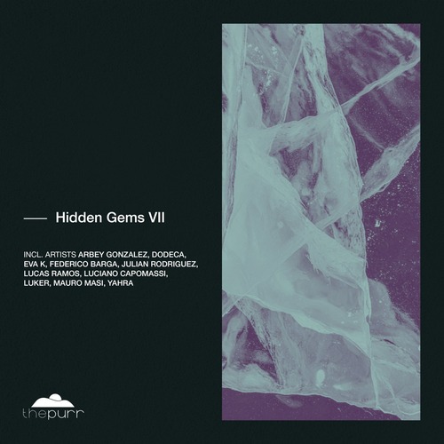 VA - Hidden Gems VII