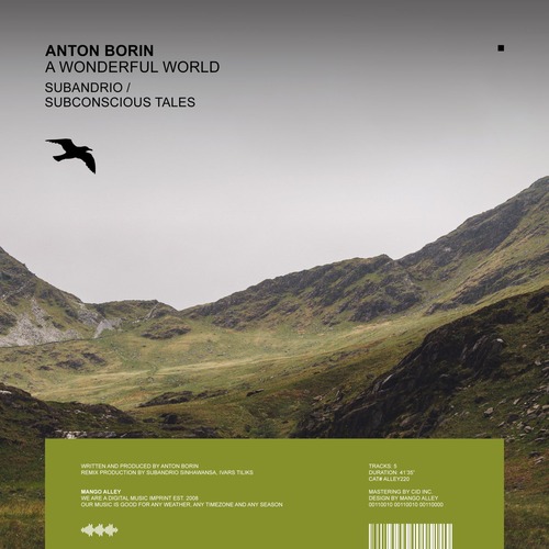 Anton Borin (RU)  A Wonderful World [ALLEY220]