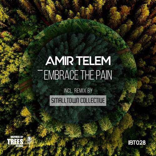 Amir Telem - Embrace the Pain