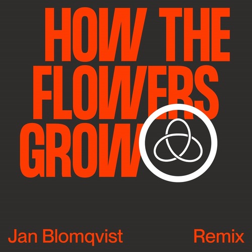 Royksopp, Pixx - How The Flowers Grow (Jan Blomqvist Remix)
