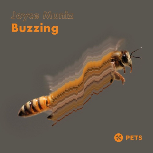 Joyce Muniz - Buzzing EP