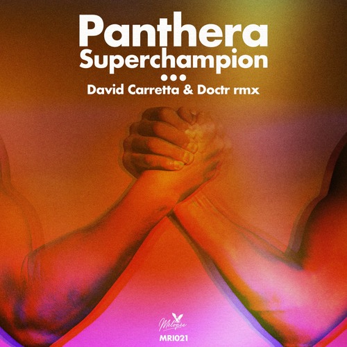 Panthera - Superchampion