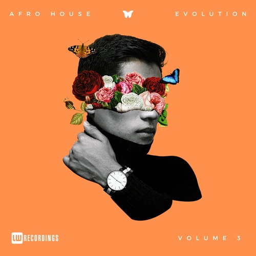 VA - Afro House Evolution, Vol. 03