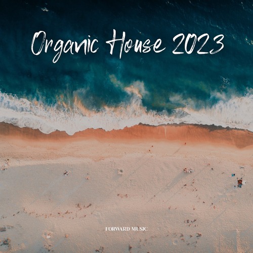 VA - Organic House #02