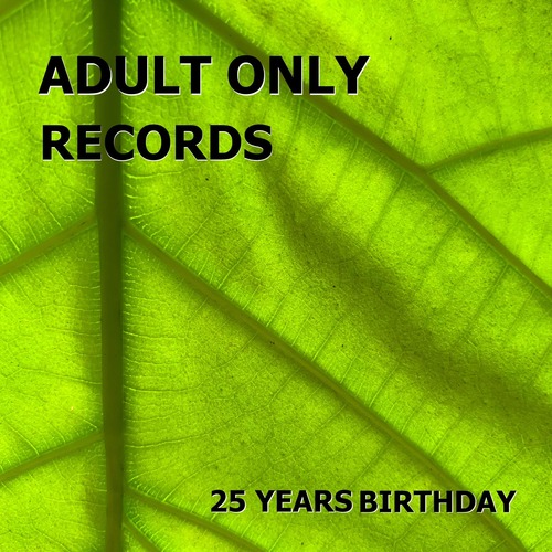 VA - Adult Only Records 25 Years Birthday