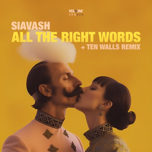 Siavash - All The Right Words