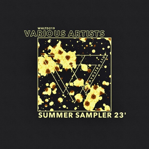 VA - Summer Sampler 23'