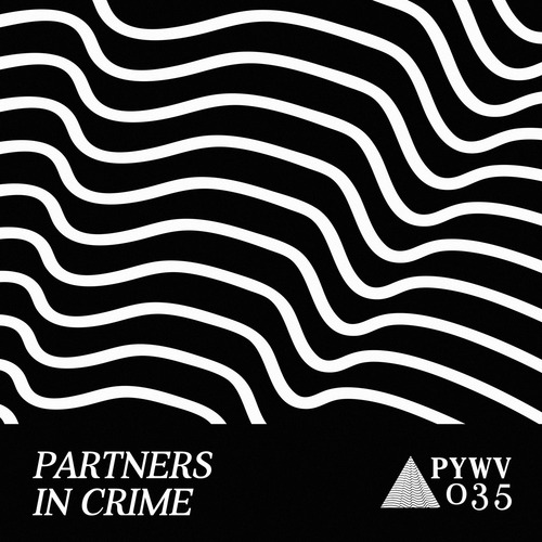 Andre Gazolla - Partners in Crime