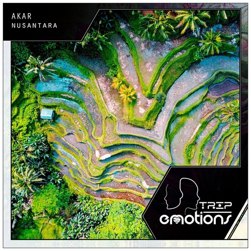 Akar - Nusantara