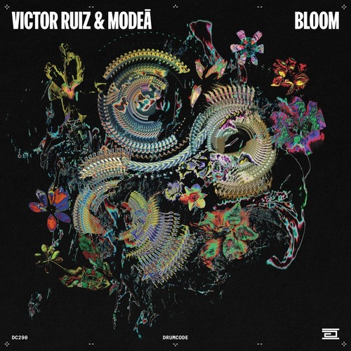 Victor Ruiz, Mode&#257; - Bloom