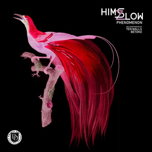 Himszlow - Phenomenon