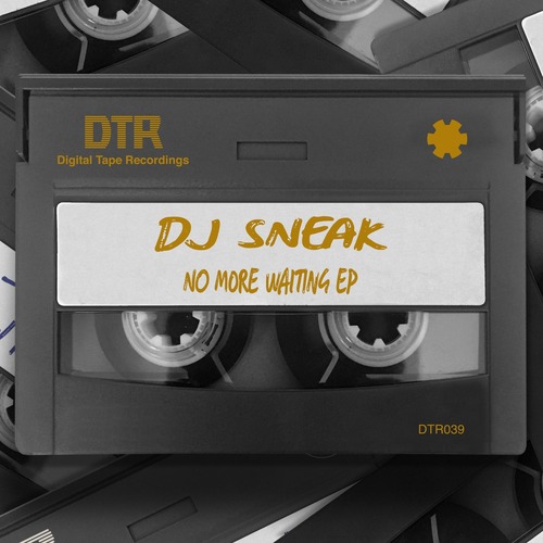 DJ Sneak - No More Waiting EP