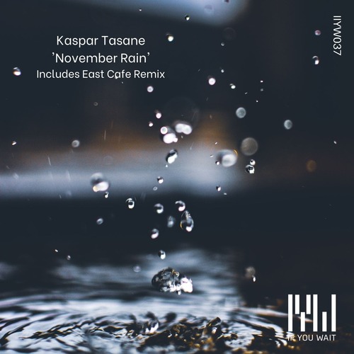Kaspar Tasane - November Rain
