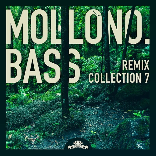VA - Mollono.Bass Remix Collection 7