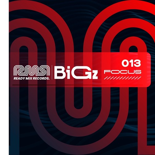 VA - Focus:013 (BiGz)