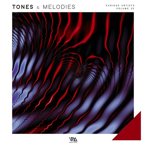 VA - Tones & Melodies Vol. 22