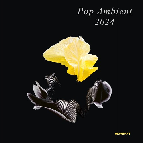 VA - Pop Ambient 2024 [KOMPAKTCD180D]