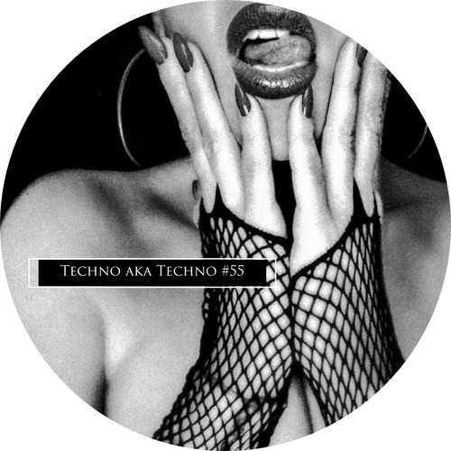 VA - Techno Aka Techno #55